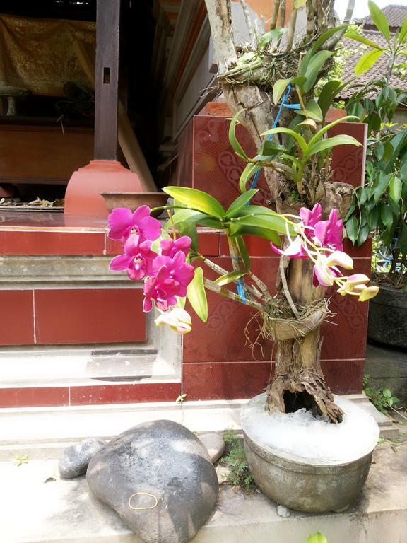 Dekwah Homestay Ubud Kültér fotó