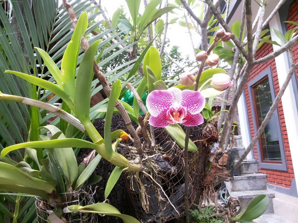 Dekwah Homestay Ubud Kültér fotó